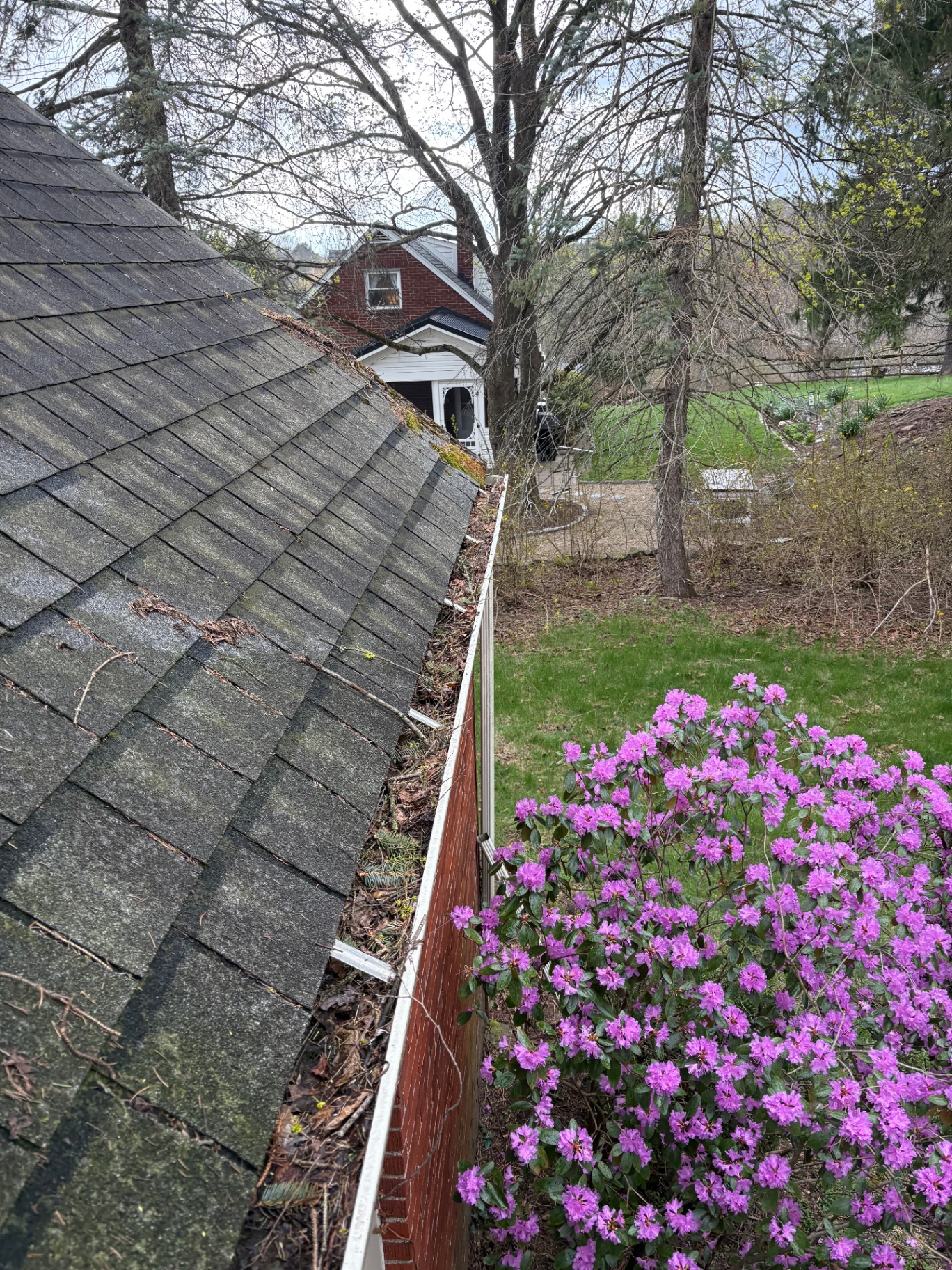 South Hills home gutters packed with wet leaves, shingle grit, and clogged downspouts.