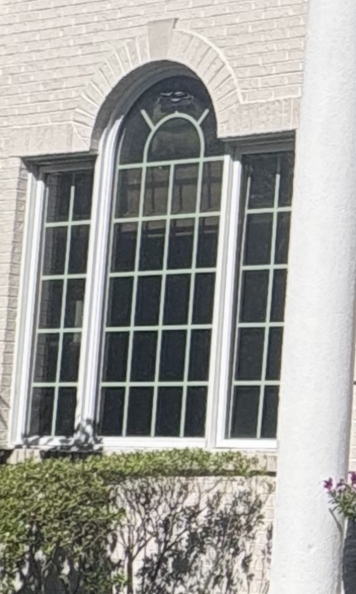 South Hills arched Palladian window with hard-water spots, pollen film, and cloudy glass.