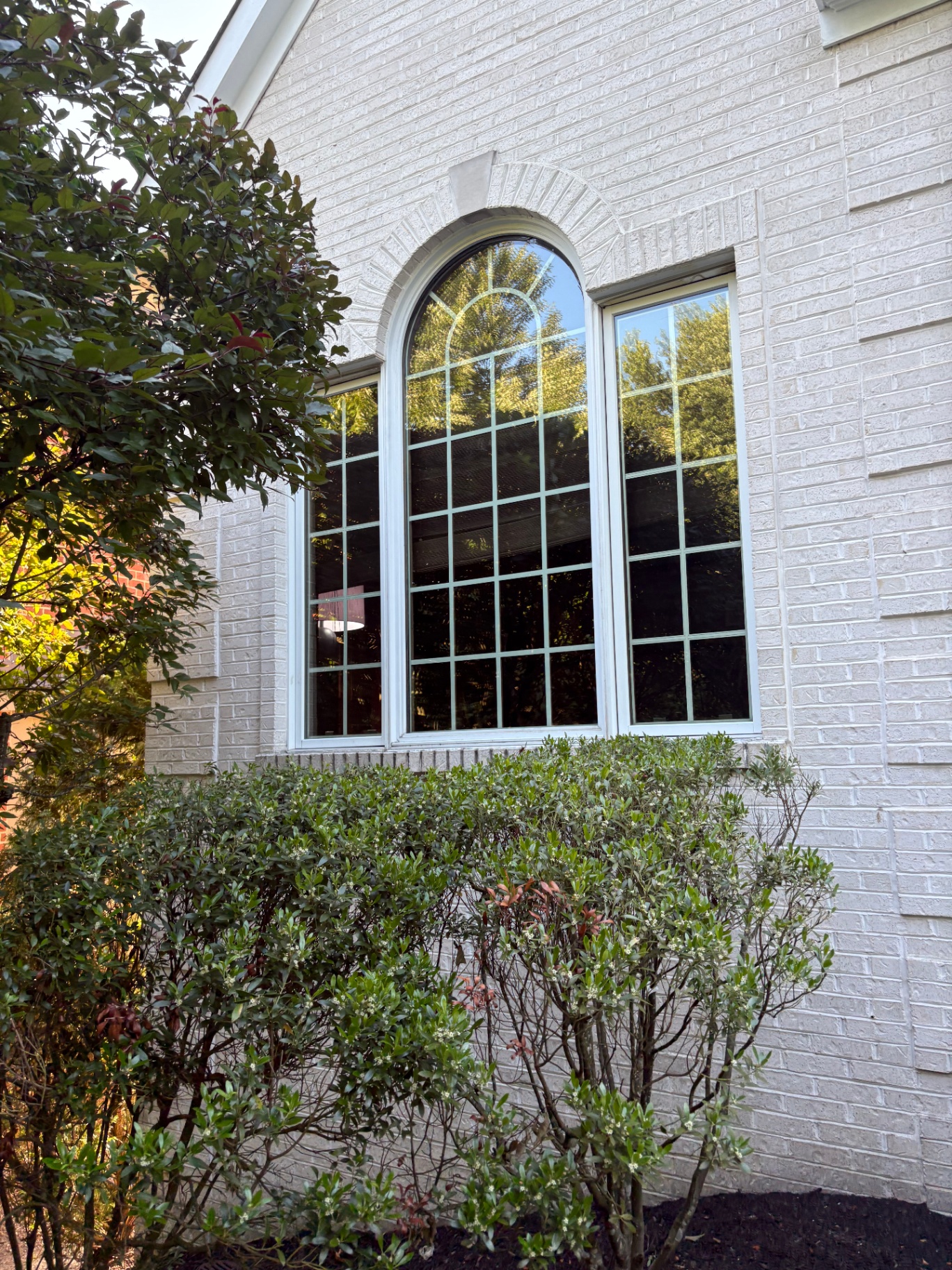 Same arched window after a full exterior wash, with streak-free, crystal-clear glass reflecting the trees.