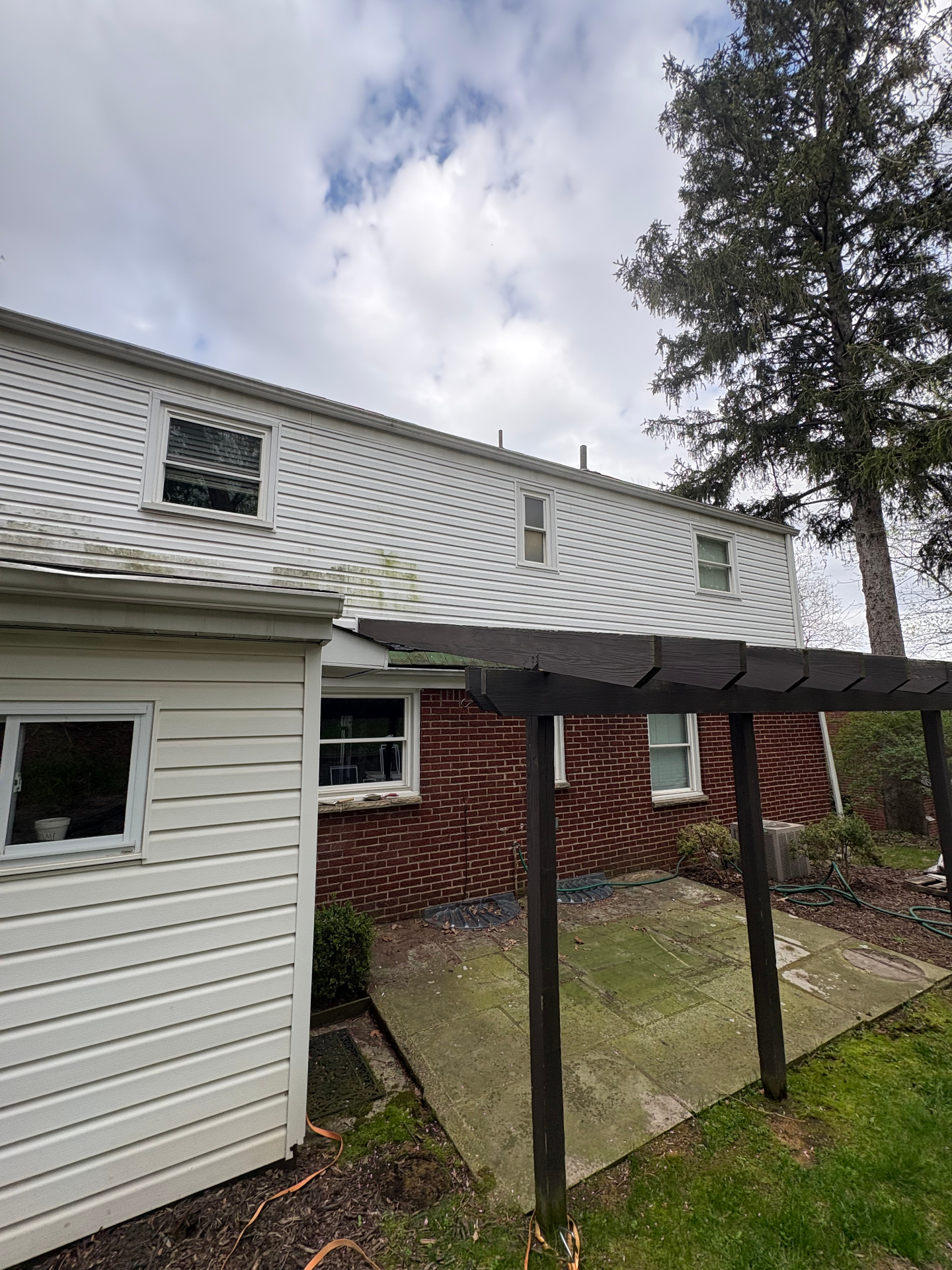 South Hills home with green algae streaks and mildew on the vinyl siding and a moss-stained flagstone patio.