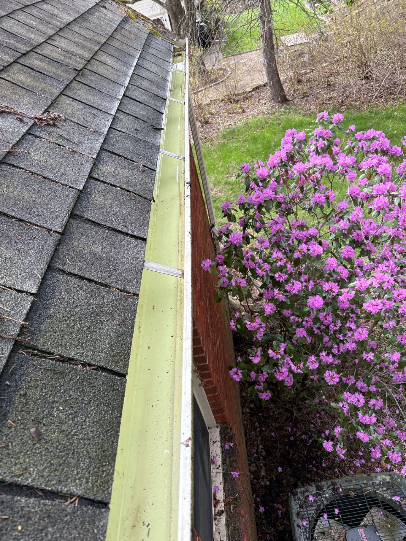 Same gutters cleared, downspouts flowing freely, and debris bagged for disposal.